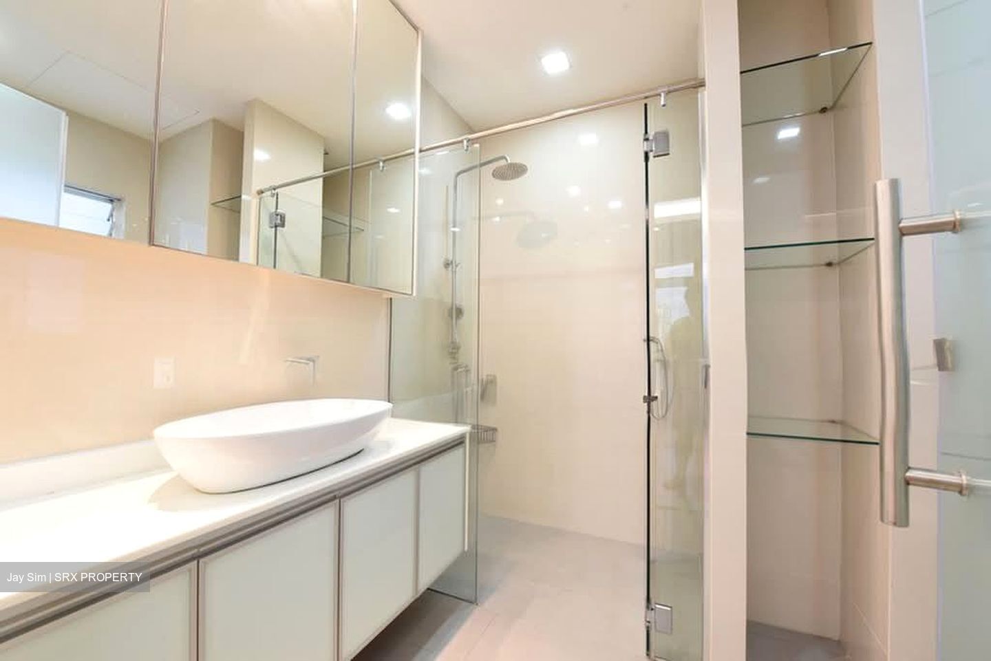Regency Park (D10), Condominium #596859061